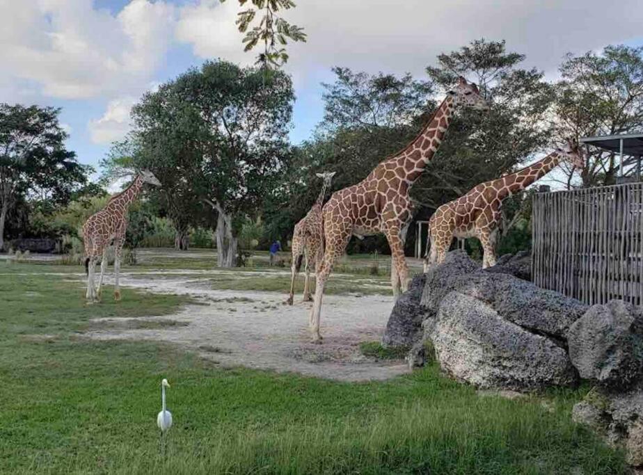 Amazing & Cozy Duplex Near Zoo Miami ! Villa ภายนอก รูปภาพ